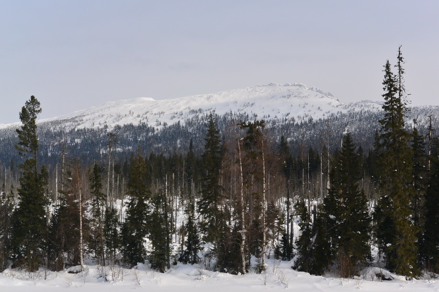 DSC_4631_новый размер.JPG