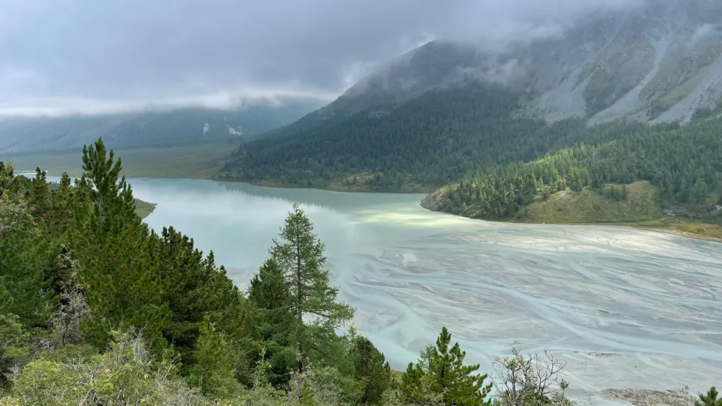 Лошади в горах