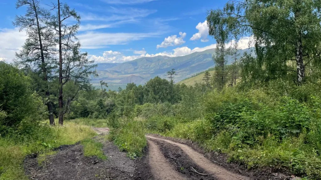 Тропа в первый день